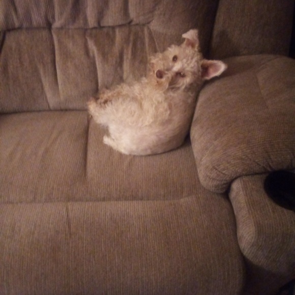 Meet your Posher, Daniel - Picture 1 of 1